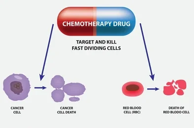chemotherapy-drug-kills-target-kill-260nw-2193181203