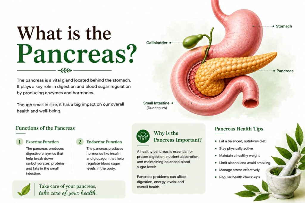 Pancreatic Cancer