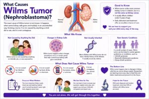 Wilms Tumor Treatment in Hyderabad Basavatarakam Cancer Hospital